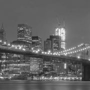 Best pic this year SF by night